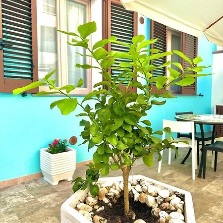 Casa de hóspedes Acquamarina Iun R2970